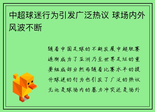 中超球迷行为引发广泛热议 球场内外风波不断